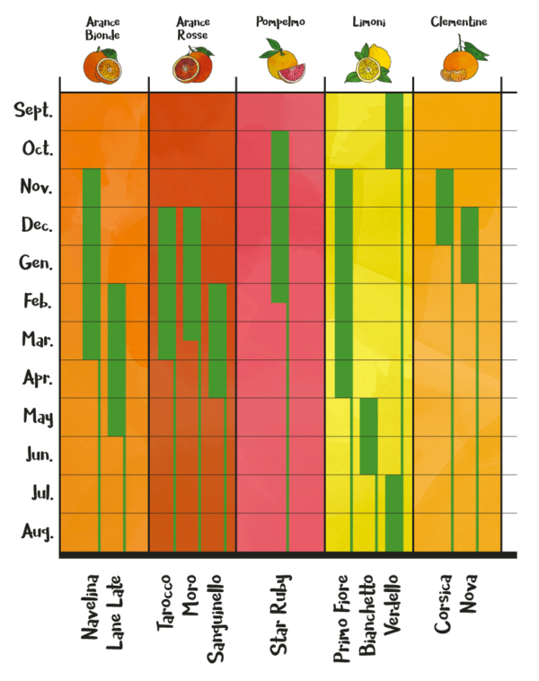 Tabella agrumi