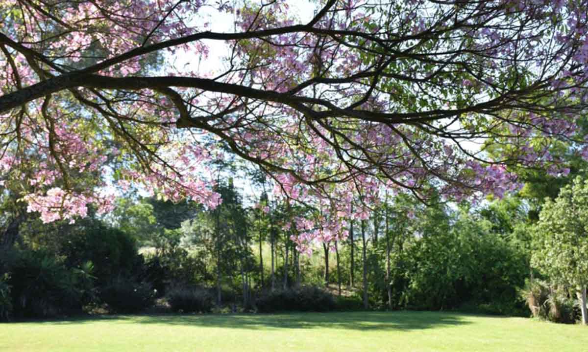 La storia del Giardino