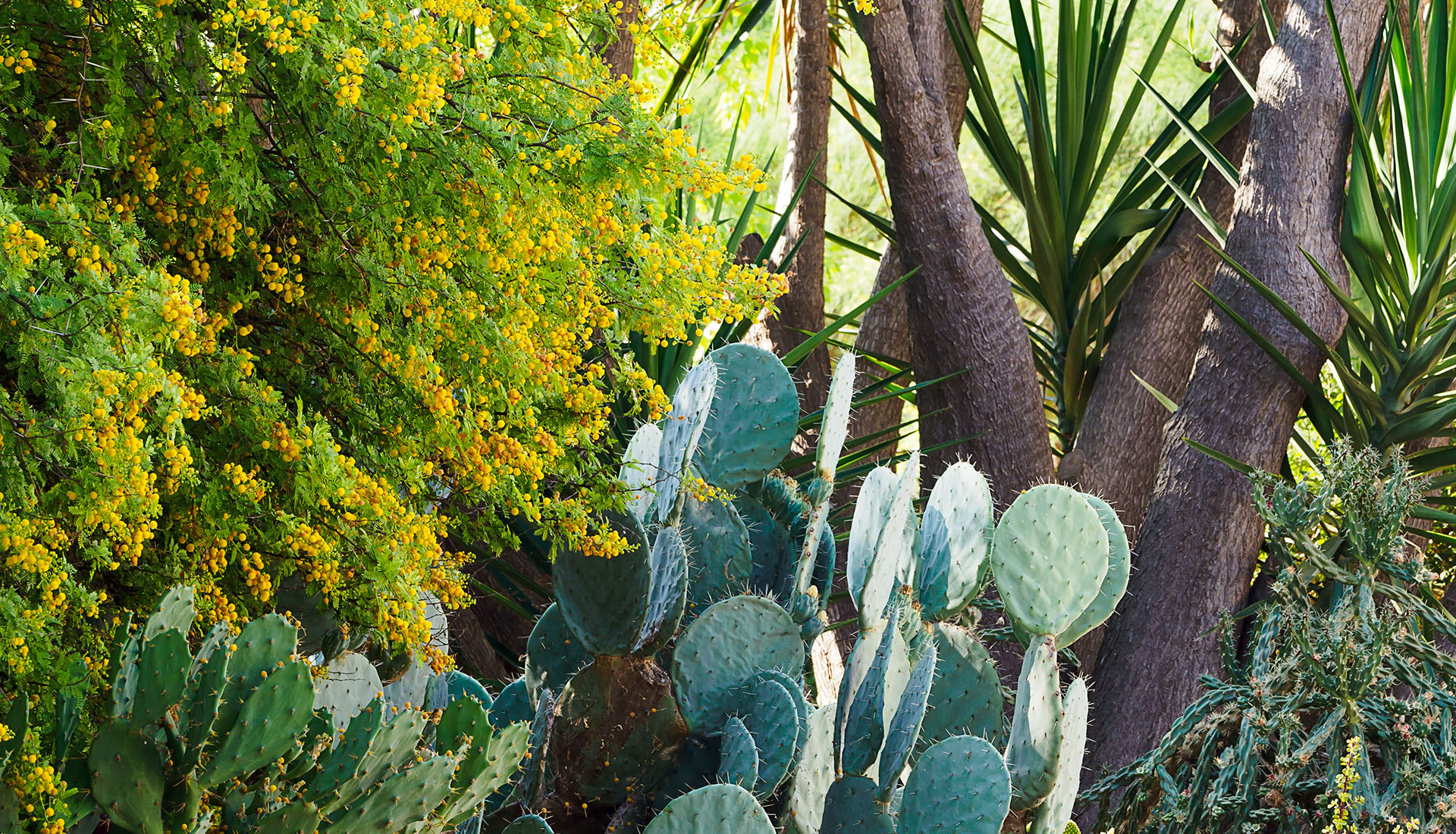 Il Giardino