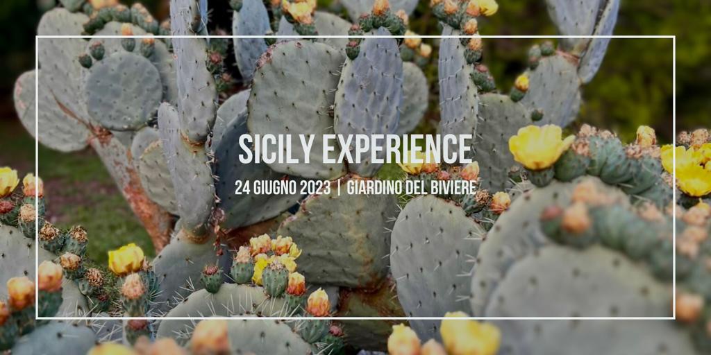 Sicily Experience